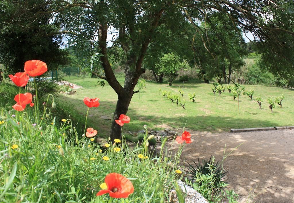 Bed and Breakfast Domaine De "Creva-Tinas" Mailhac Zewnętrze zdjęcie